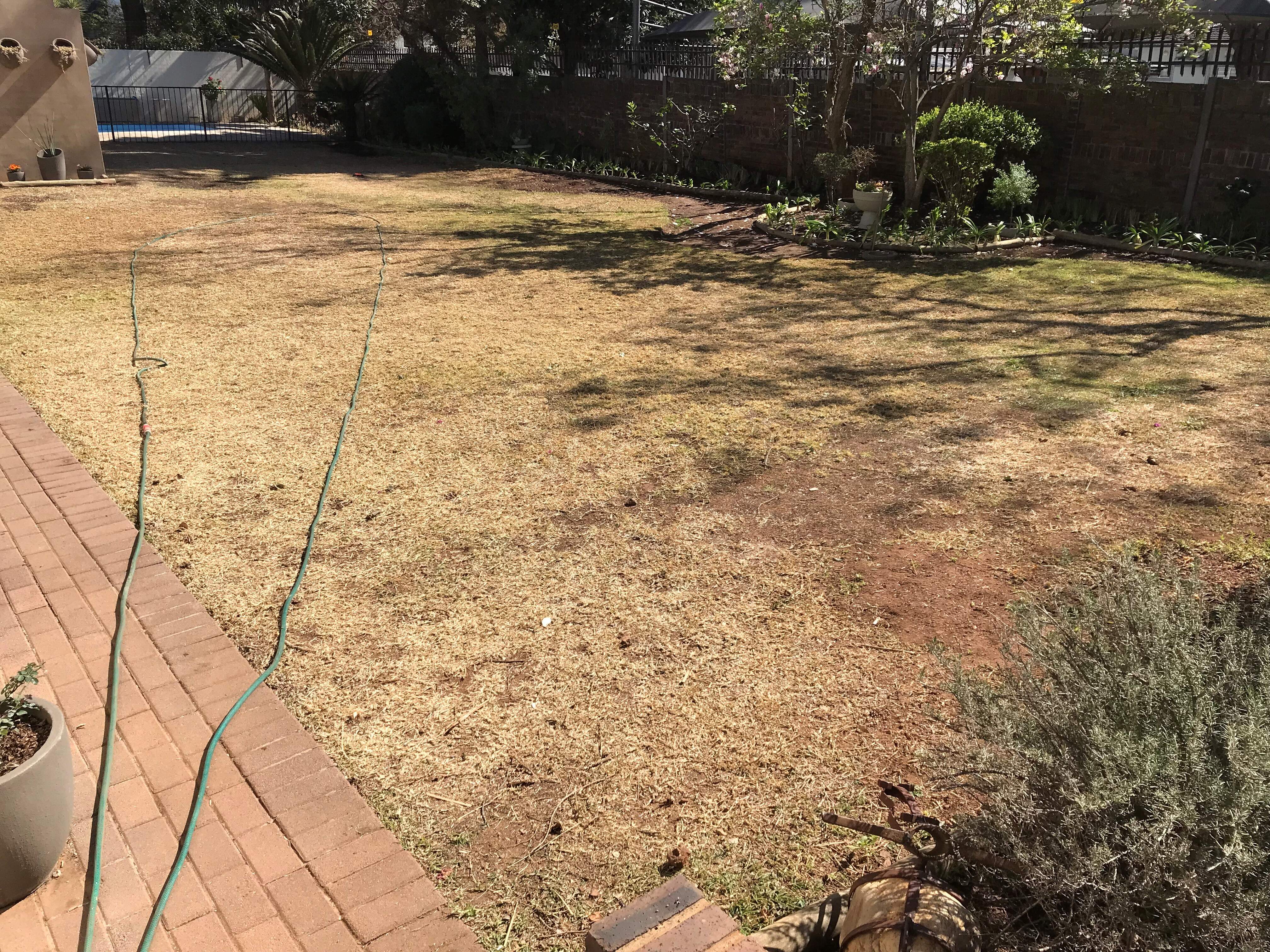 Help! I have an ugly lawn and I really want to fix it.