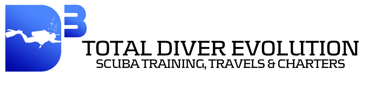 D3 Total Diver Evolution