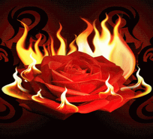 happy-rose-day-2014-aimated-gif-pics-free-download_1gif