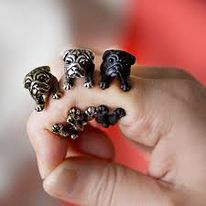 Dog Rings (various species available)