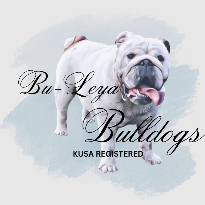 Bu-Leya Bulldogs