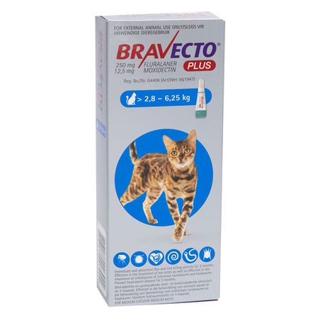 Bravecto cat flea treatment for medium cat