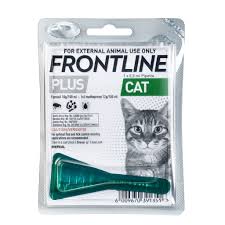 Frontline cat plus 50% off