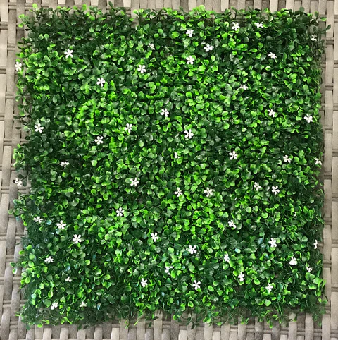 BOXWOOD WITH WHITE FLOWER 50 X50 MAT