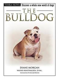 Pet books- The Bulldog