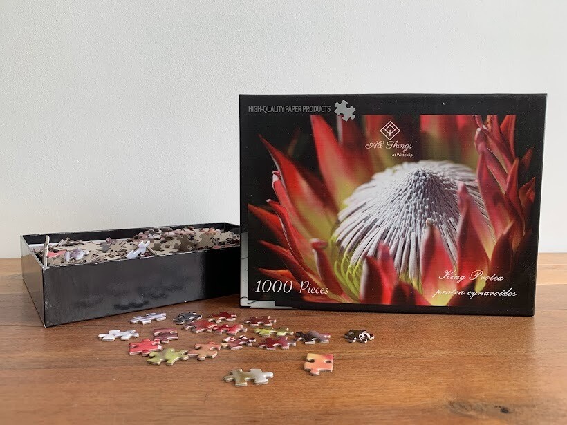 1000pc King Protea Puzzle