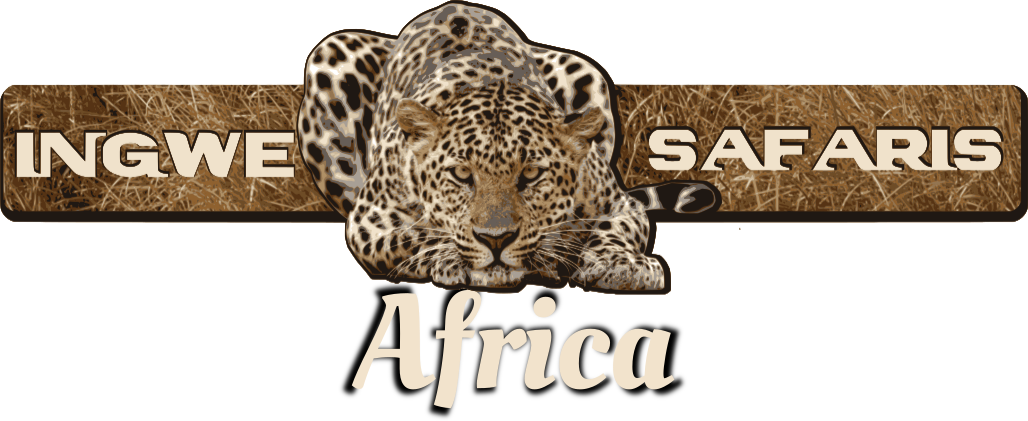 Ingwe Safaris Africa